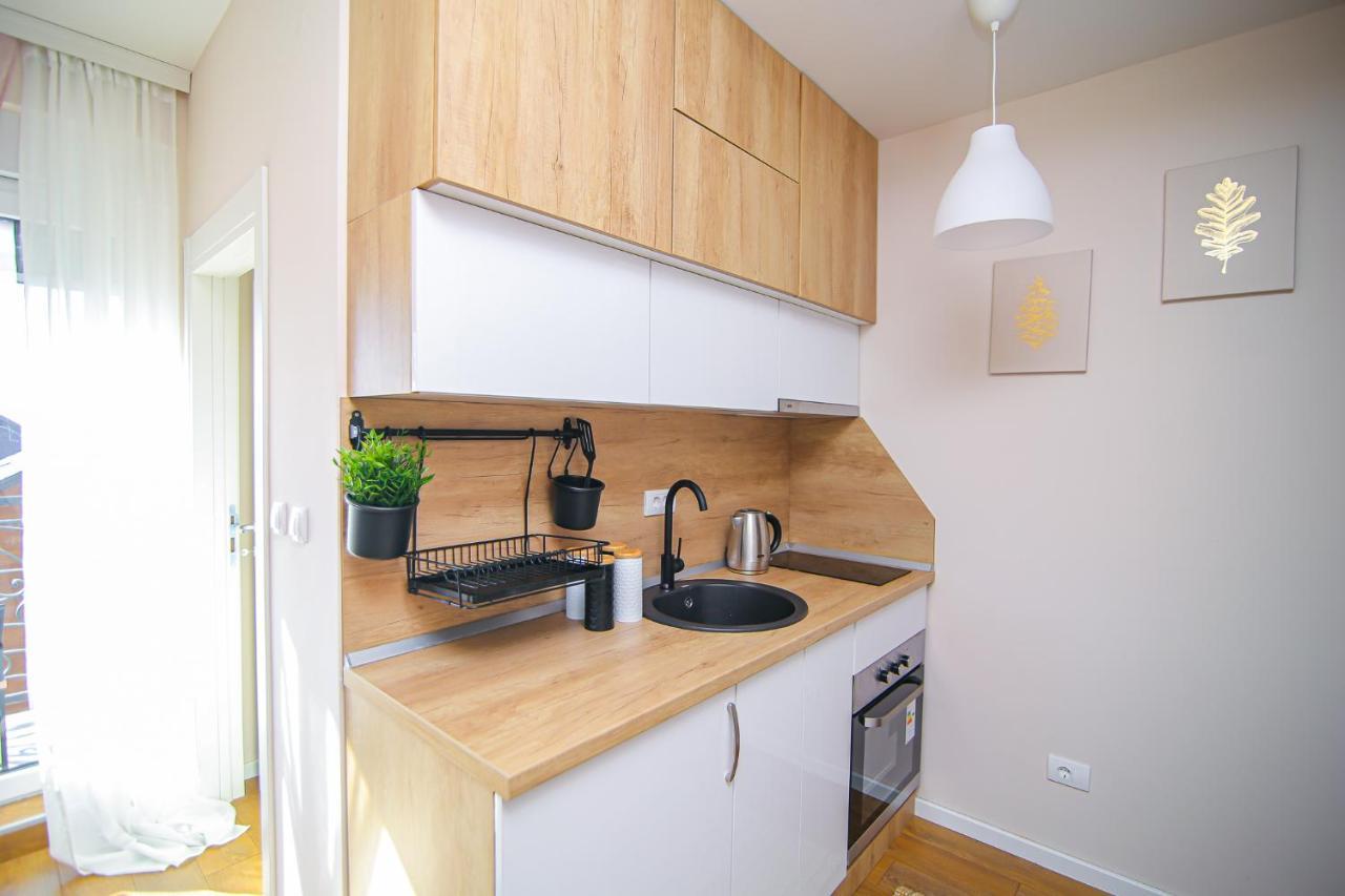 Narcis 17 - Novonamesteni Apartman Sa Prelepim Pogledom Na Tornik Златибор Екстер'єр фото
